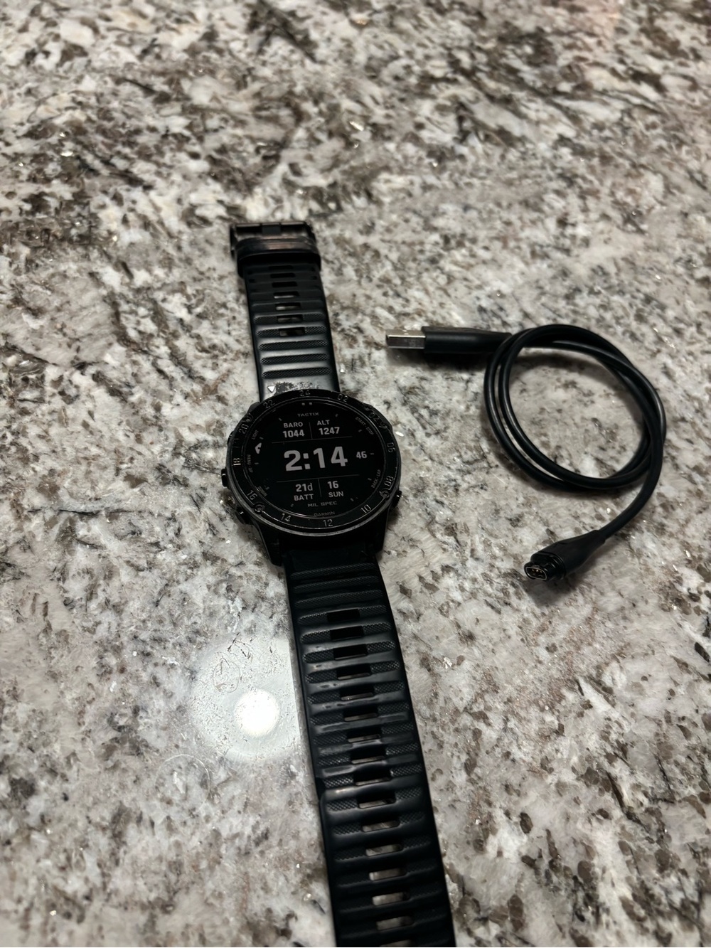 Garmin Tactix Delta